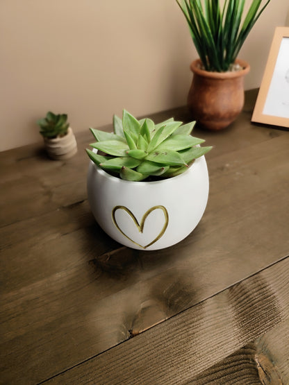 Heart Planter