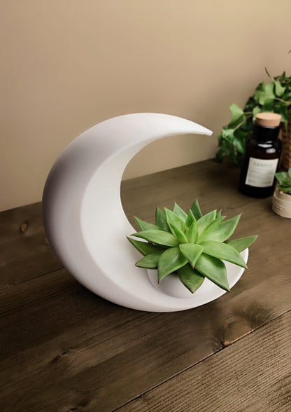 Moon Planter