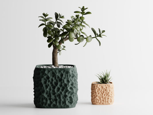 Terraforma Planter