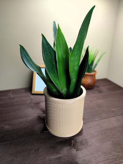 Rattan Textured Retro Planter