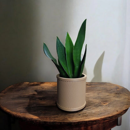 Rattan Textured Retro Planter